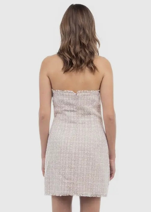 Button Down Tweed Tube Dress